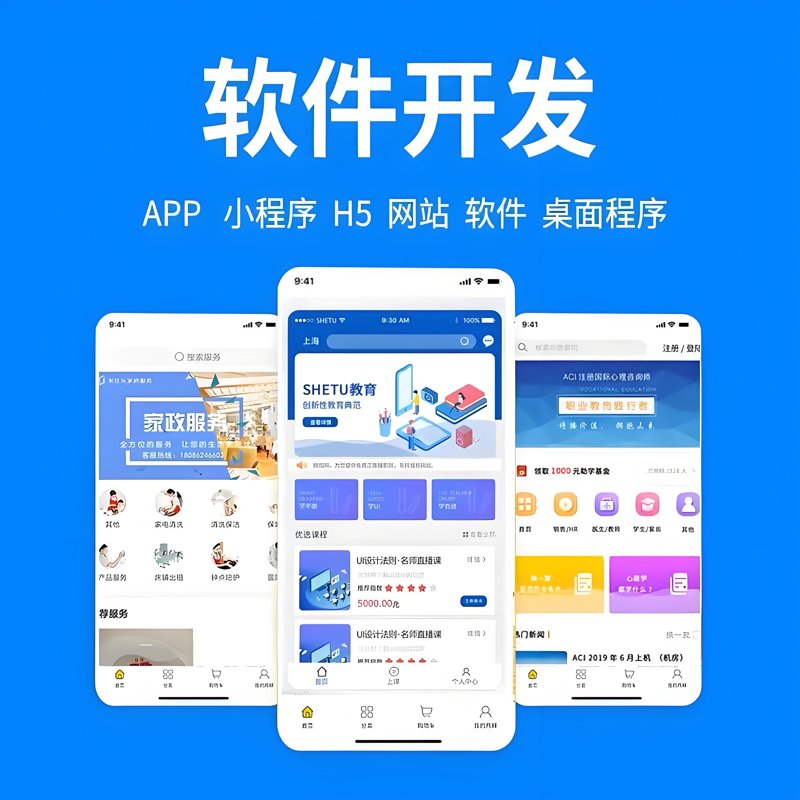 软件定制开发:企业转型的新引擎